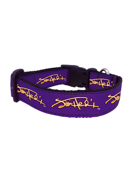 Jimi Hendrix x All Star Dogs Signature Purple Collar